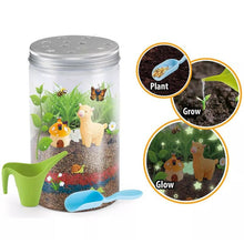 Load image into Gallery viewer, Unicorn's Grow and Glow Terrarium