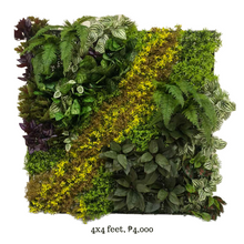 Load image into Gallery viewer, Green Wall Fern design 4x4 feet
