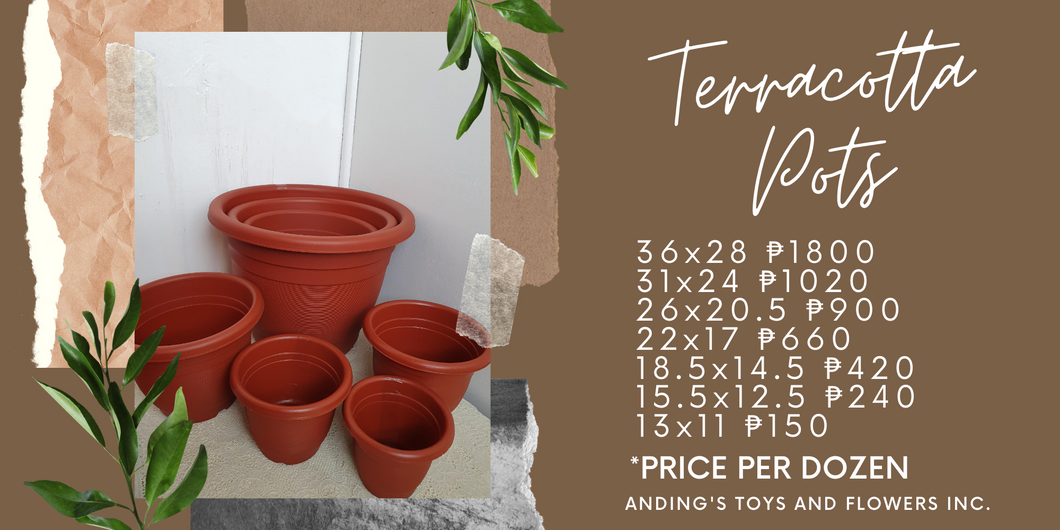 Terracotta Plastic Pots (PER DOZEN)