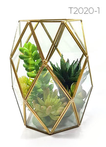 Succulent in Geometric Vases