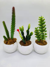 Load image into Gallery viewer, 3-in-1 Artificial Succulent Home Plant
