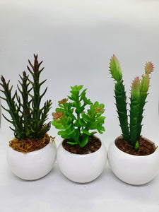 3-in-1 Artificial Succulent Home Plant