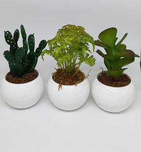 3-in-1 Artificial Succulent Home Plant