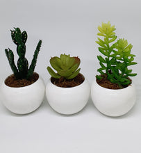 Load image into Gallery viewer, 3-in-1 Artificial Succulent Home Plant
