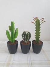 Load image into Gallery viewer, Large Artificial Succulents and Plants
