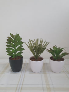Large Artificial Succulents and Plants