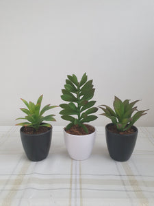 Large Artificial Succulents and Plants