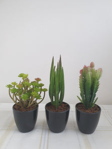 Large Artificial Succulents and Plants