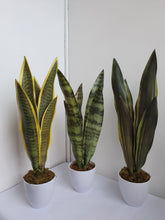 Load image into Gallery viewer, Artificial Sanseviera Snake Plant (2 sizes)
