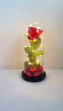 Load image into Gallery viewer, Enchanted Rose Forever Rose
