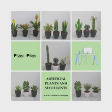 Load and play video in Gallery viewer, Large Artificial Succulents and Plants
