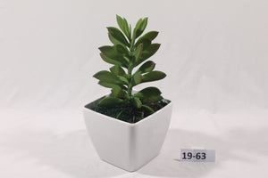 Succulent in Vase (Series 1)