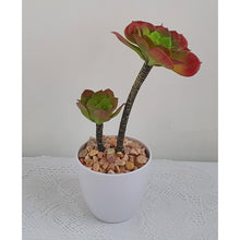 Load image into Gallery viewer, Artificial Tall Succulent Flower with Stones in Pot Artificial Floral Arrangement
