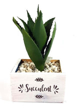 Load image into Gallery viewer, Succulent in Vase (Series 2)
