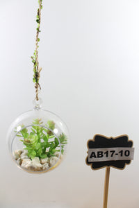 Hanging Round Terrarium with Plant