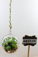 Load image into Gallery viewer, Hanging Round Terrarium with Plant
