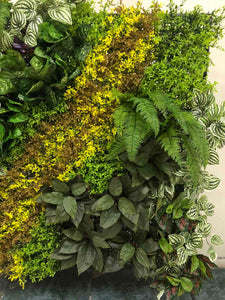 Green Wall Fern design 4x4 feet