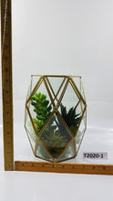 Load image into Gallery viewer, Succulent in Geometric Vases

