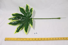 Load image into Gallery viewer, Fatsia Leaves

