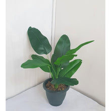 Load image into Gallery viewer, Artificial Traveler Palm Banana Leaves Plant Arrangement in Pot
