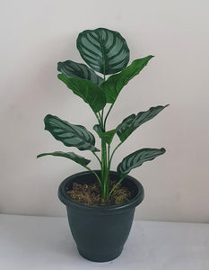 Artificial Calathea Arrangement Plant Leaves 20 inches in Pot