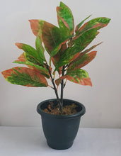 Load image into Gallery viewer, Artificial Aglaonema Arrangement Chinese Evergreen Plant (4 colors)

