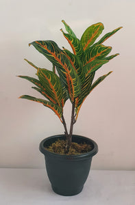 Artificial Aglaonema Arrangement Chinese Evergreen Plant (4 colors)